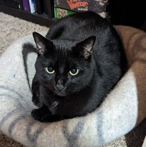 Meet your Posher, Melissa